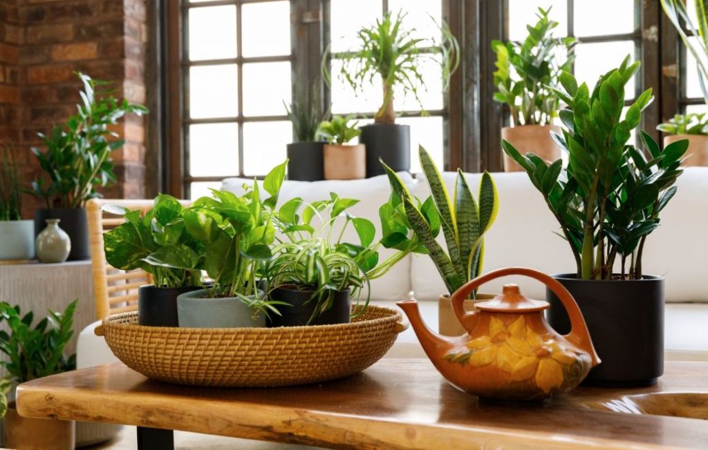 How Do SelfWatering Planters Work? (Pros & Cons) uBeautyLife