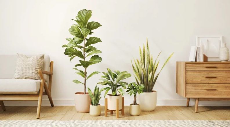 What are Self-Watering Planters